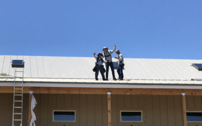 Signs Your Commercial Roof Needs Immediate Maintenance or Repair